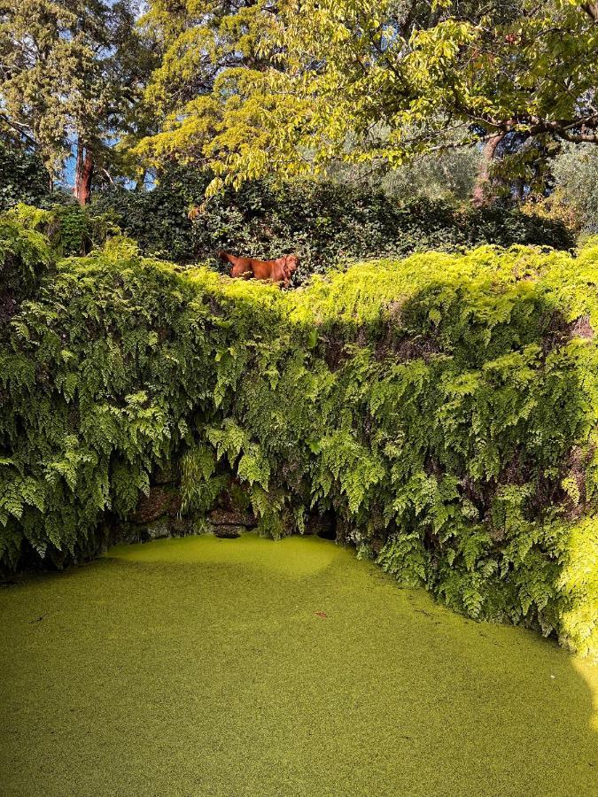 Quinta Da Porta - Solar De Vale De Prazeres Villa Buitenkant foto